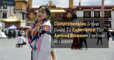 Comprehensive Travel Guide To Experience The Apricot Blossom Festival In Ladakh flyopedia com