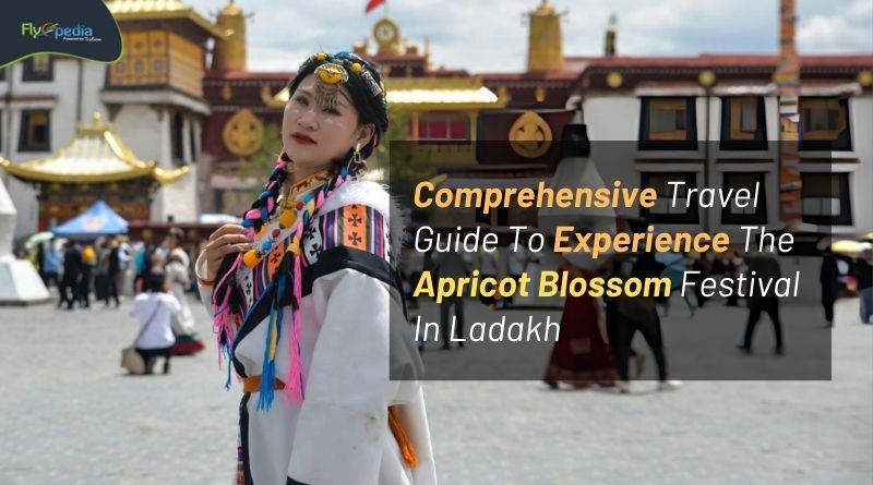 Comprehensive Travel Guide To Experience The Apricot Blossom Festival In Ladakh flyopedia com