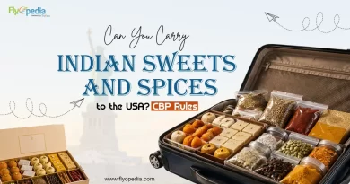 Can You Carry Indian Sweets & Spices to the USA CBP Rules