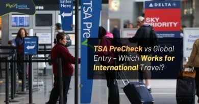 TSA PreCheck vs Global Entry – Which Works for International Travel Flyopedia com