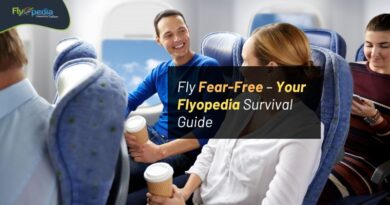 Fly Fear Free – Your Flyopedia Survival Guide flyopedia com