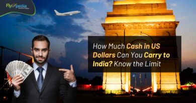 How Much Cash in US Dollars Can You Carry to India Know the Limit Flyopedia com