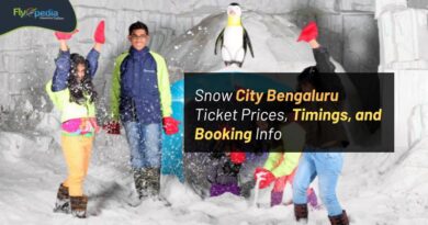 Snow City Bengaluru Ticket Prices Timings and Booking Info Flyopedia com