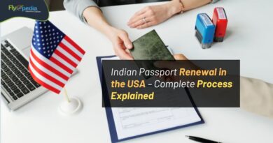 Indian Passport Renewal in the USA – Complete Process Explained Flyopedia com