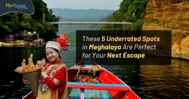 These 5 Underrated Spots in Meghalaya Are Perfect for Your Next Escape Flyopedia com