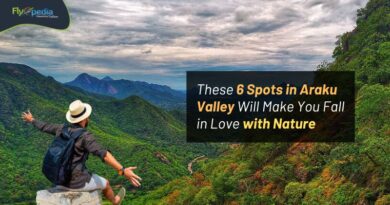 These 6 Spots in Araku Valley Will Make You Fall in Love with Nature Flyopedia com