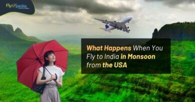 What Happens When You Fly to India in Monsoon from the USA Flyopedia com