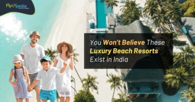 You Won’t Believe These Luxury Beach Resorts Exist in India Flyopedia com
