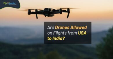 Are Drones Allowed on Flights from USA to India flyopedia com