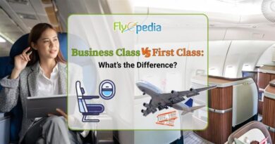 Business Class vs First Class What’s the Difference