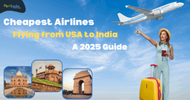 Flyopedia com Cheapest Airlines Flying from USA to India A 2025 Guide