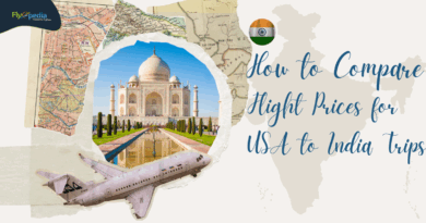 How to Compare Flight Prices for USA to India Trips