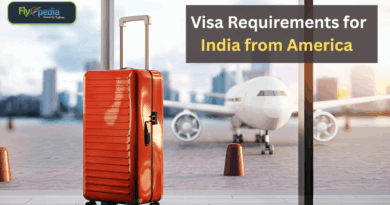 Understanding Baggage Allowance for USA–India Flights