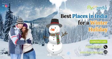 Best Places in India for a Winter Holiday