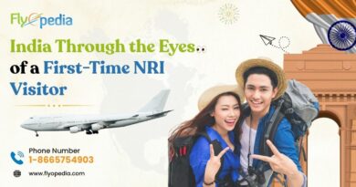 India Through the Eyes of a First Time NRI Visitor