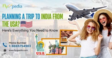 Planning a Trip to India from the USA Here’s Everything You Need to Know