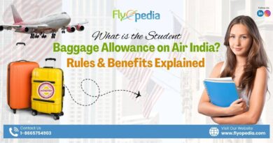 What is the Student Baggage Allowance on Air India Rules & Benefits Explained