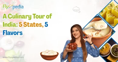 A Culinary Tour of India 5 States, 5 Flavors