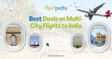 Best Deals on Multi City Flights to India