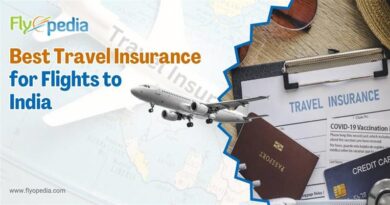 Best Travel Insurance for Flights to India