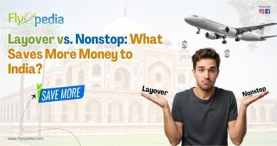 Layover vs Nonstop What Saves More Money to India