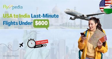 USA to India Last Minute Flights Under $600