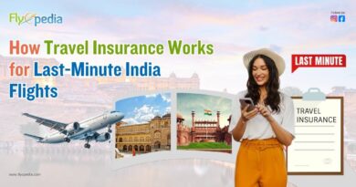 How Travel Insurance Works for Last Minute India Flights