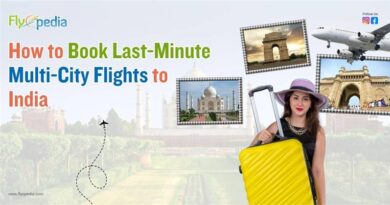 How to Book Last Minute Multi City Flights to India