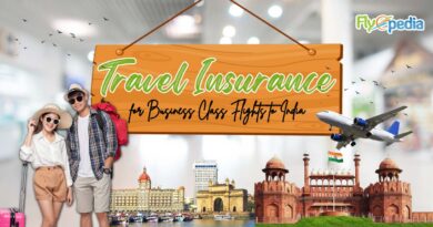 Travel Insurance for Business Class Flights to India
