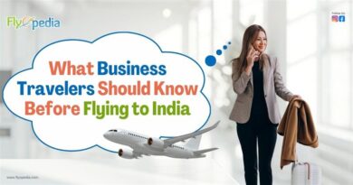 What Business Travelers Should Know Before Flying to India