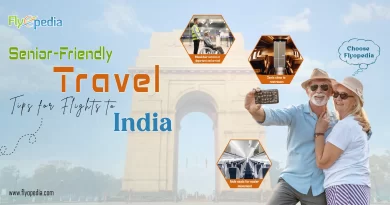 Senior Friendly Travel Tips for Flights to India copy