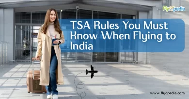 TSA Rules You Must Know When Flying to India copy