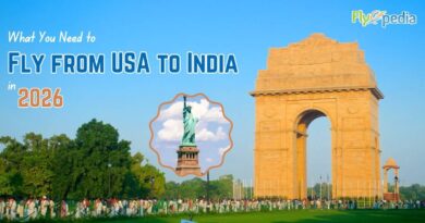 What You Need to Fly from USA to India in 2026