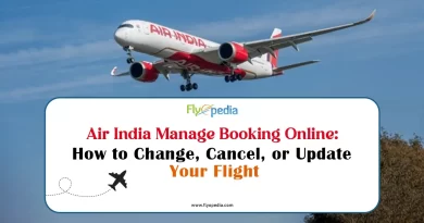 Air India Manage Booking Online How to Change Cancel or Update Your Flight copy