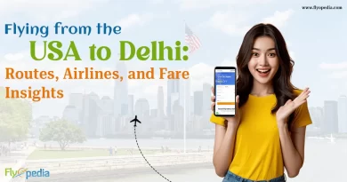 Flying from the USA to Delhi Routes Airlines and Fare Insights copy