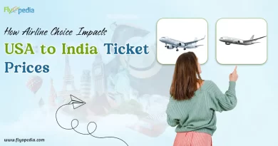 How Airline Choice Impacts USA to India Ticket Prices copy