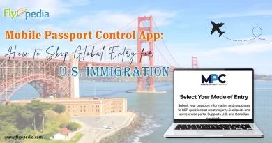 Mobile Passport Control App How to Skip Global Entry for U S Immigration