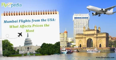 Mumbai Flights from the USA What Affects Prices the Most copy 1