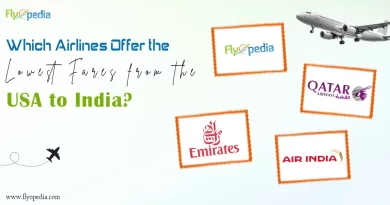 Which Airlines Offer the Lowest Fares from the USA to India copy