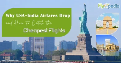 Why USA–India Airfares Drop and How to Catch the Cheapest Flights