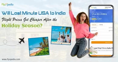 Will Last Minute USA to India Flight Prices Get Cheaper After the Holiday Season