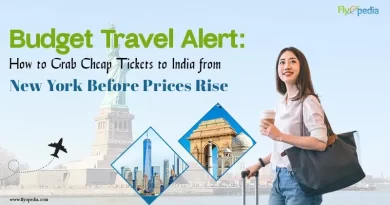 Budget Travel Alert How to Grab Cheap Tickets to India from New York Before Prices Rise copy
