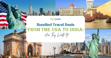 Bundled Travel Deals from the USA to India Are They Worth It copy