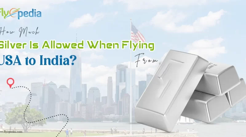 How Much Silver Is Allowed When Flying from USA to India copy