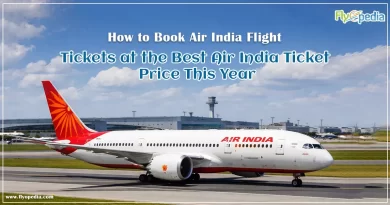How to Book Air India Flight Tickets at the Best Air India Ticket Price This Year copy