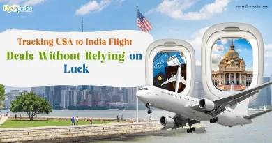 Tracking USA to India Flight Deals Without Relying on Luck copy (1)