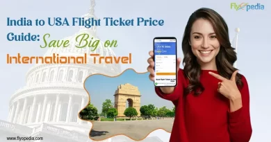India to USA Flight Ticket Price Guide Save Big on International Travel copy