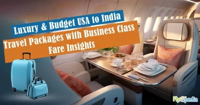 Luxury & Budget USA to India Travel Packages with Business Class Fare Insights copy