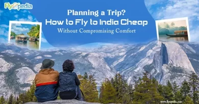 Planning a Trip How to Fly to India Cheap Without Compromising Comfort copy