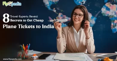 Travel Experts Reveal 8 Secrets to Get Cheap Plane Tickets to India copy